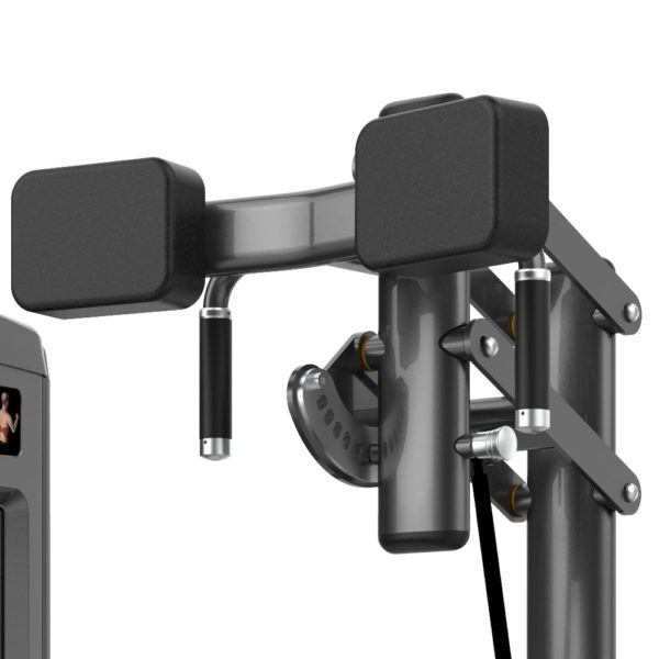 M7-2006 Rotary Torso Rotation