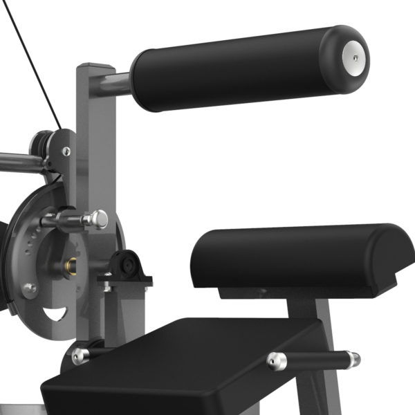 PF-1005 Back Extension /Ab Crunch
