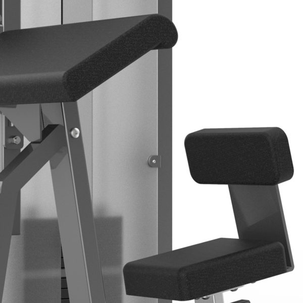PF-1002 Biceps /Triceps Curl