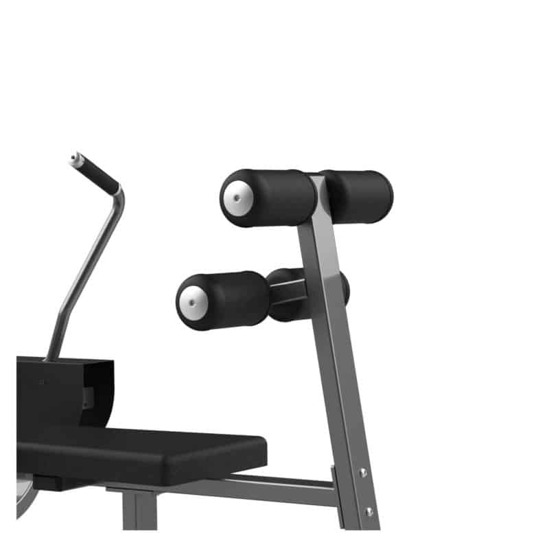 FW-2007 Assist Abdominal Bench