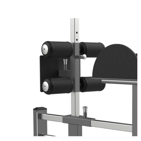 FW-2029 Glute Ham Raise
