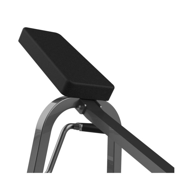 FW-2012 Lying T-bar Row