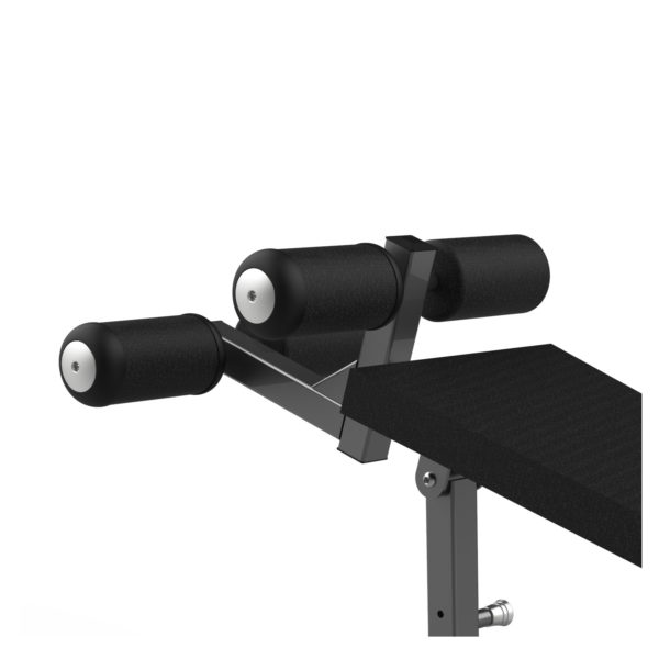 FW-2013 Adjustable Abdominal Bench