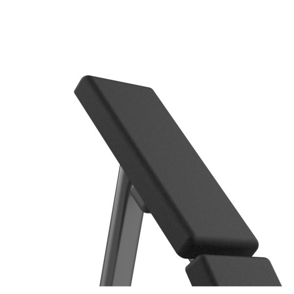 FW-1010 55-Degree Bench