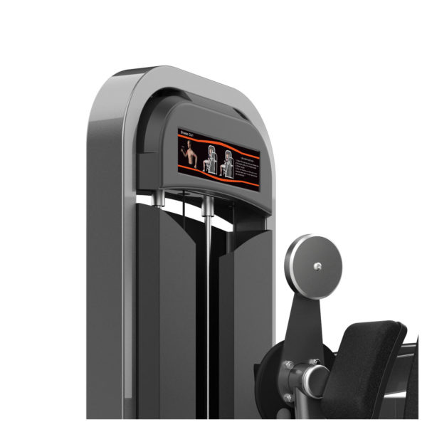 M2-1010B Biceps Curl