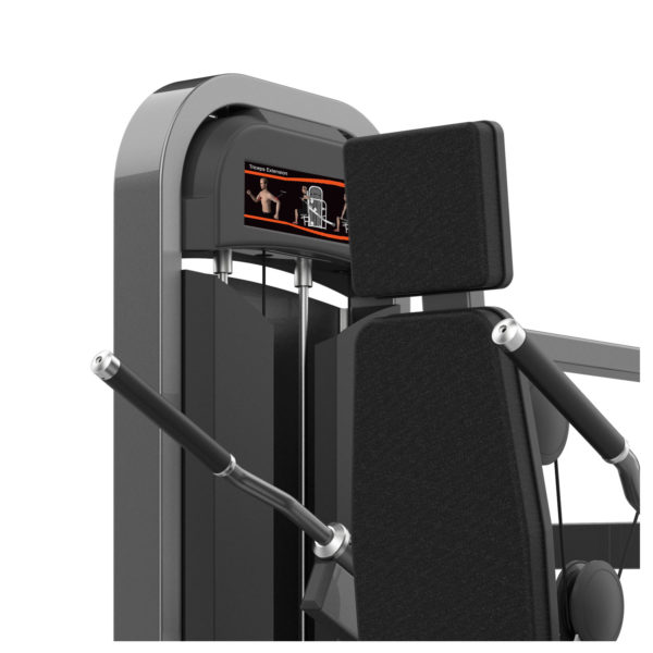 M2-1011B Triceps Extension