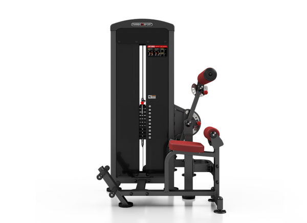 MP-U220 2-In-1 Abdominal - Back Extension