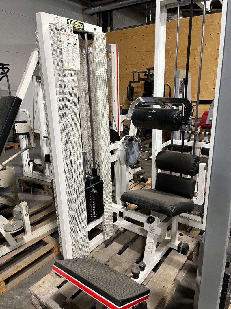 technogym selänojennuslaite