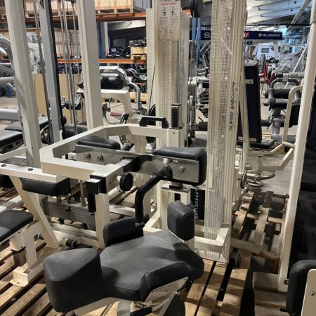 technogym rotary torso