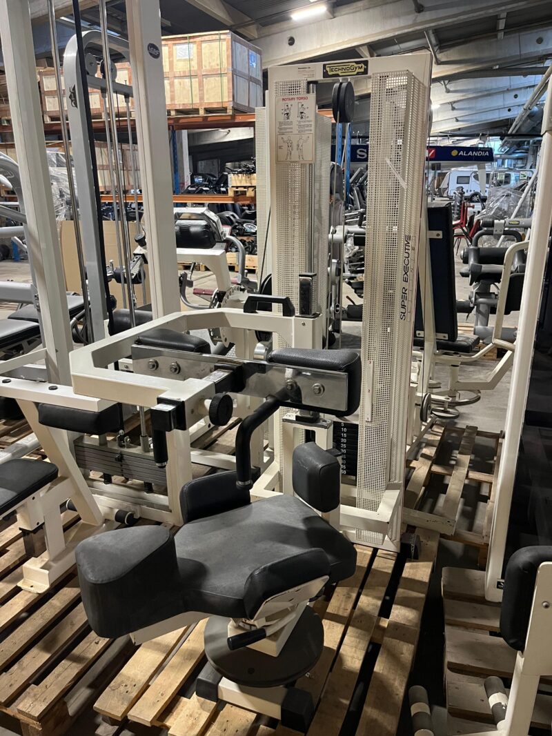 technogym rotary torso