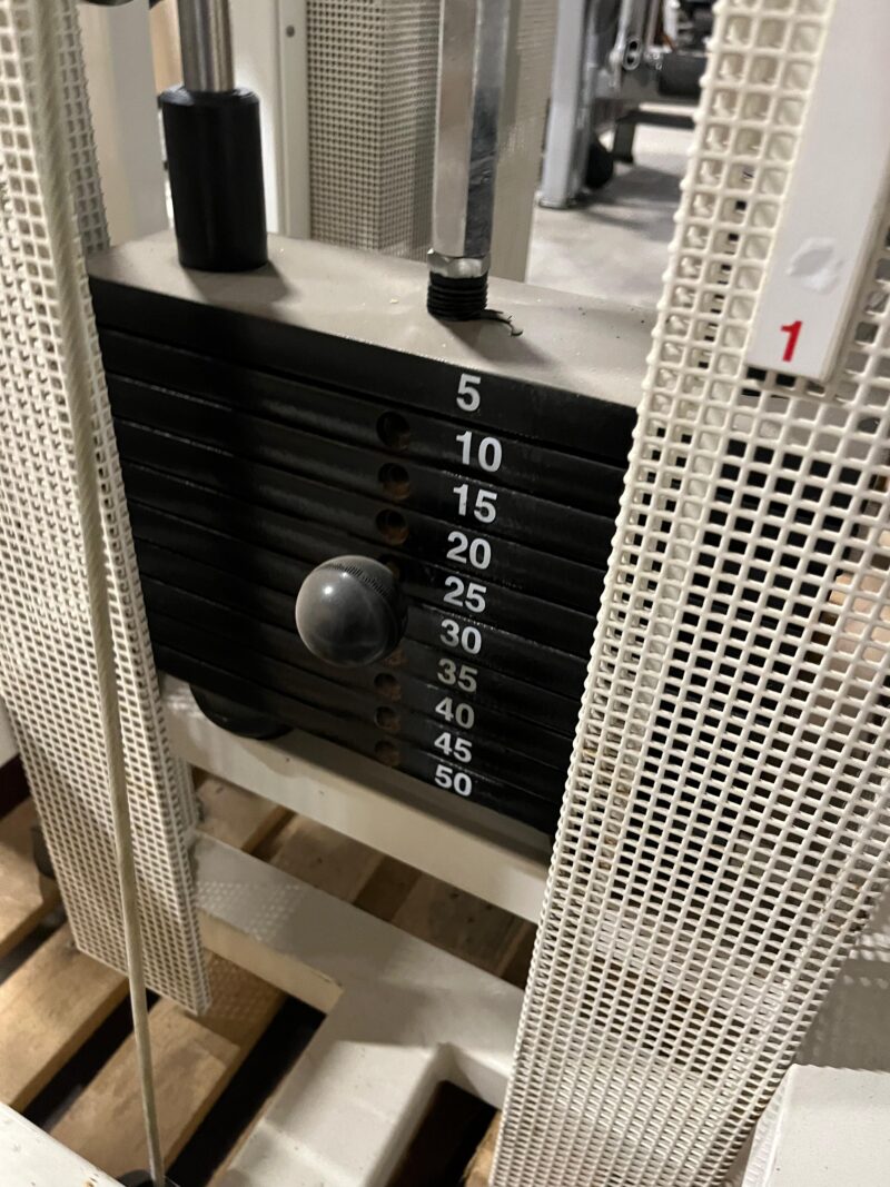 technogym rotary torso