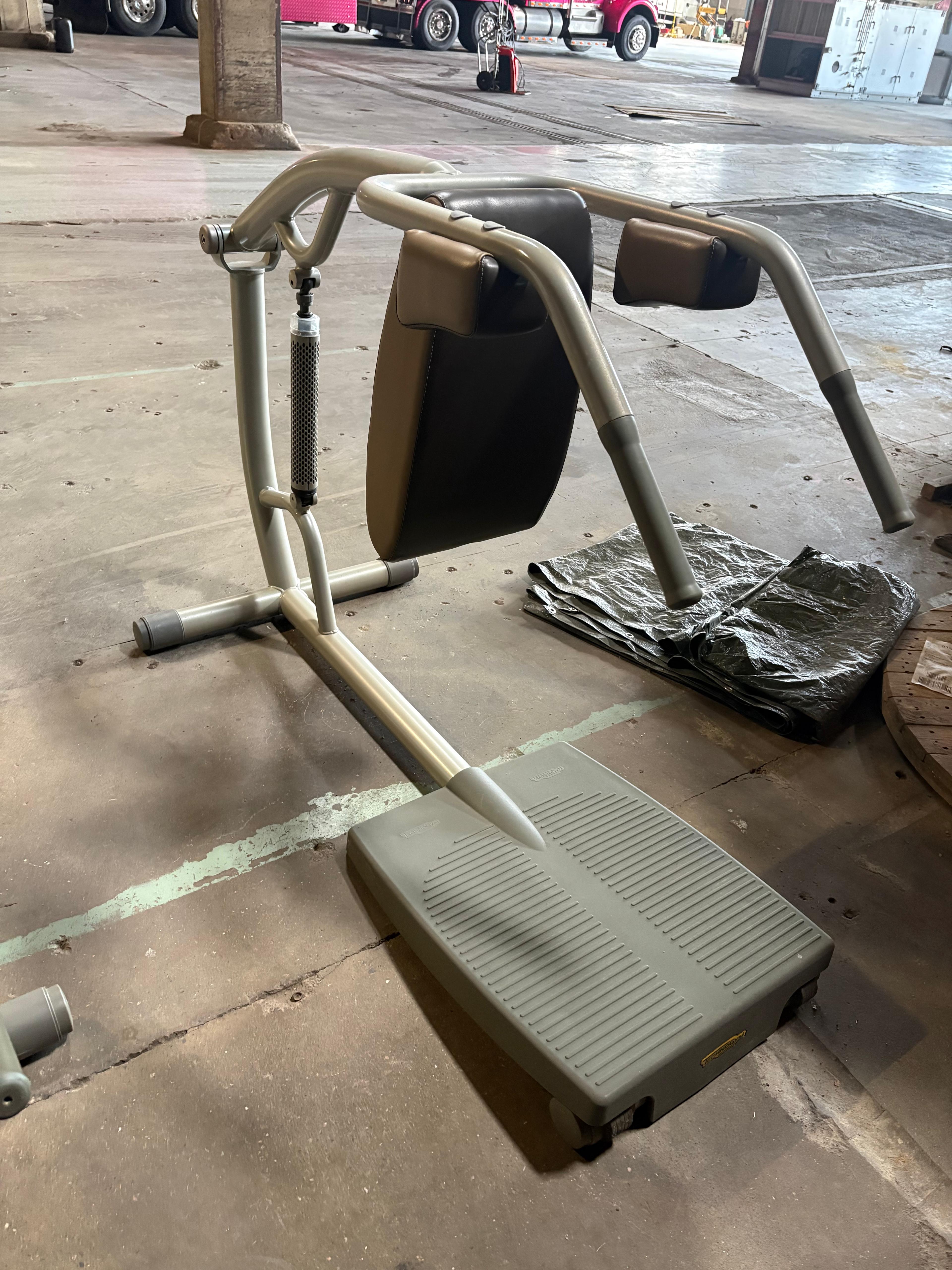 Technogym easyline